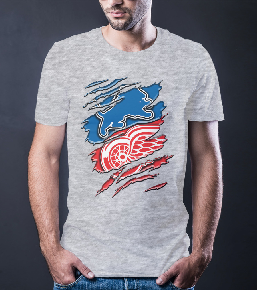 Detroit Red Wings Buffalo Sabres Vintage Mashup T-Shirt