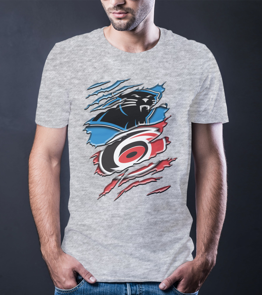 Carolina Panthers And Hurricanes Claw T-Shirt
