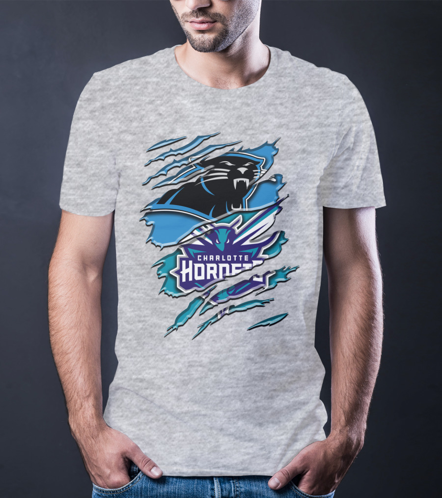 Panther And Charlotte Hornets Logo Rah T-Shirt