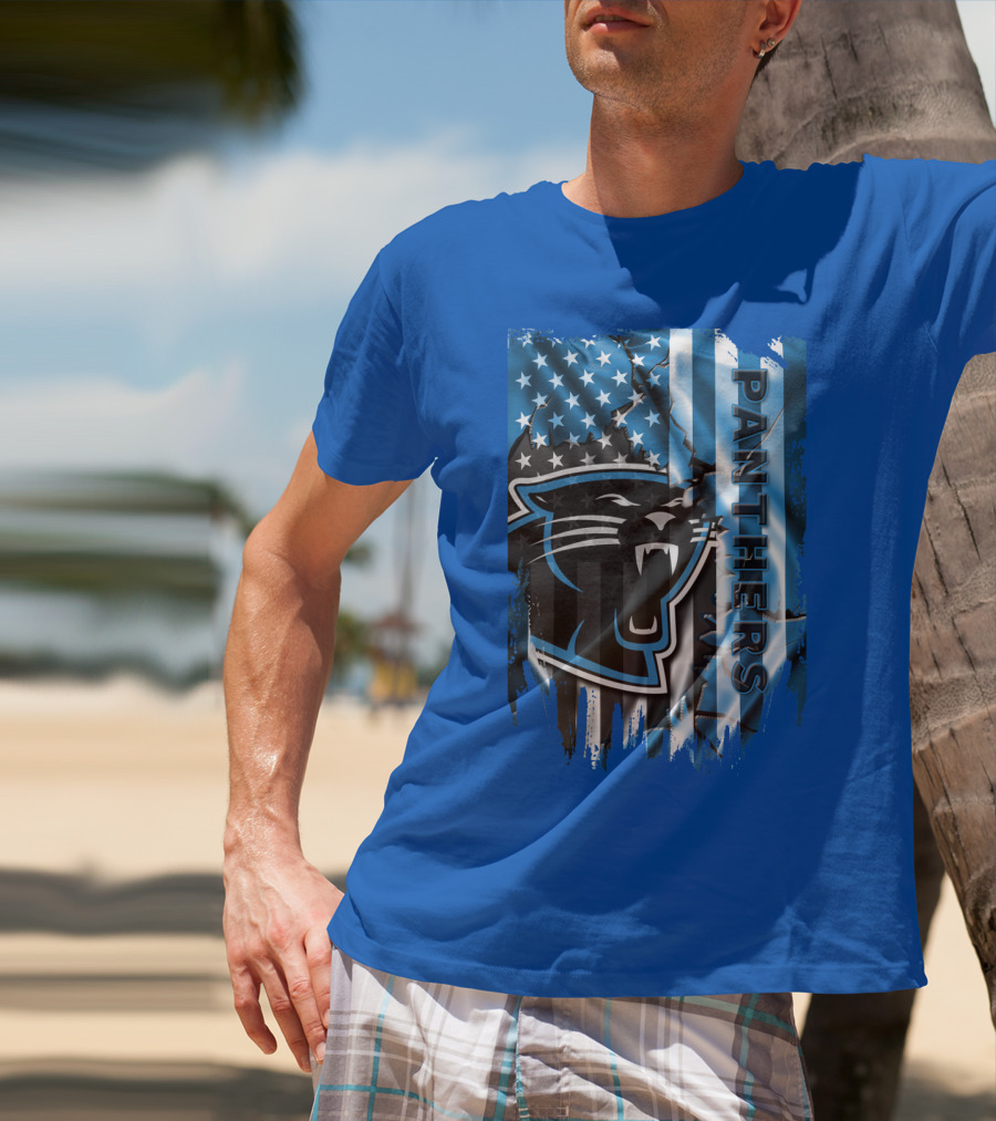Panthers American Flag Stars And Stripes T-Shirt