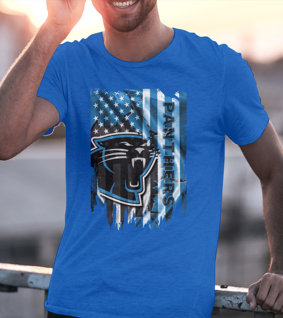 Panthers American Flag Stars And Stripes T-Shirt