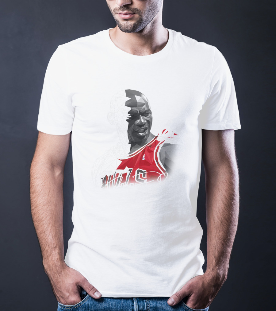 The Last Dance Jordan Bulls #23 Air Jordan Signature T-Shirt