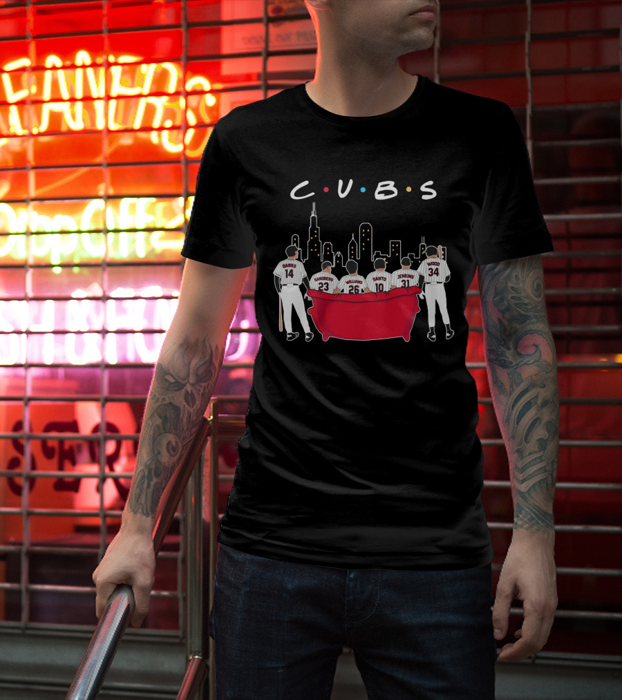 Cubs Friends Chicago Skyline Banks Sandberg Williams Santo Jenkins Wood T-Shirt