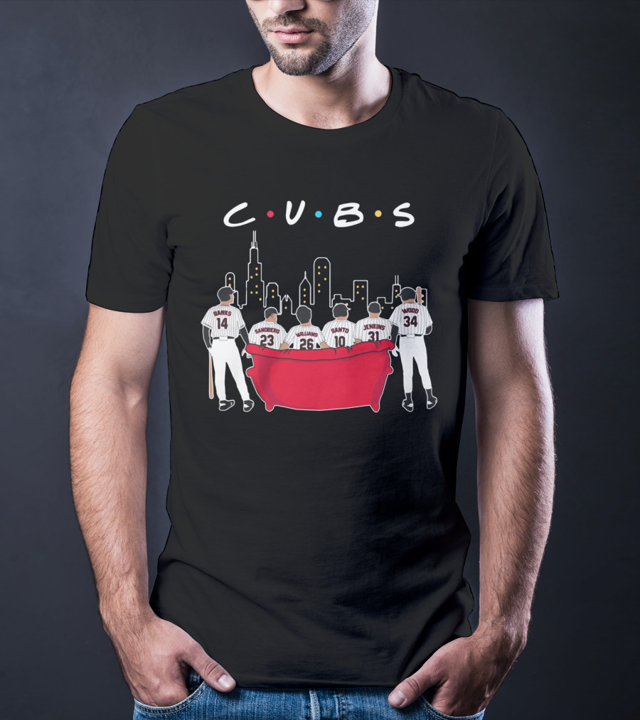 Cubs Friends Chicago Skyline Banks Sandberg Williams Santo Jenkins Wood T-Shirt