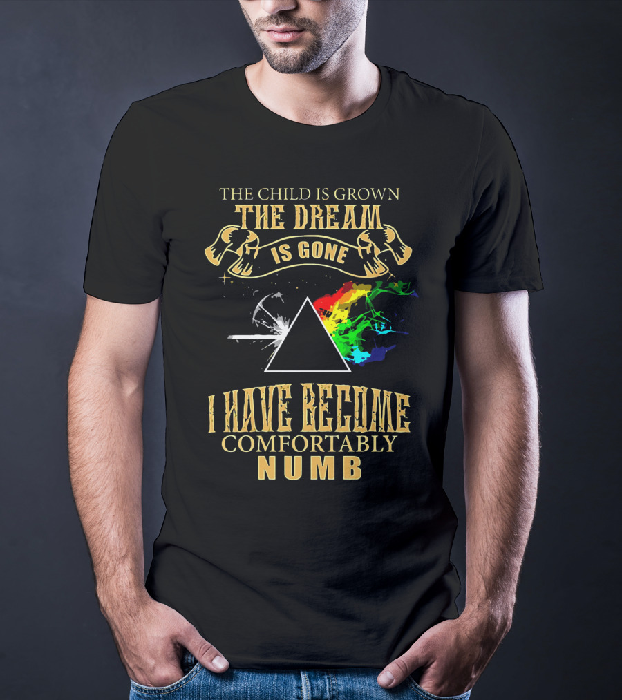 The Child Is Grown The Dream Is Gone Comfortably Numb Triangle Spectrum T-Shirt