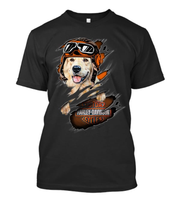 Golden Retriever Wearing Biker Helmet With Harley Davidson Motorcycles T-Shirt