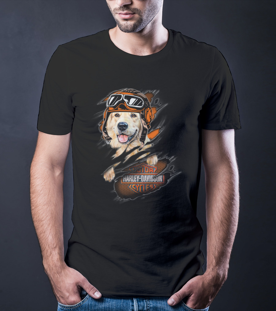 Golden Retriever Wearing Biker Helmet With Harley Davidson Motorcycles T-Shirt