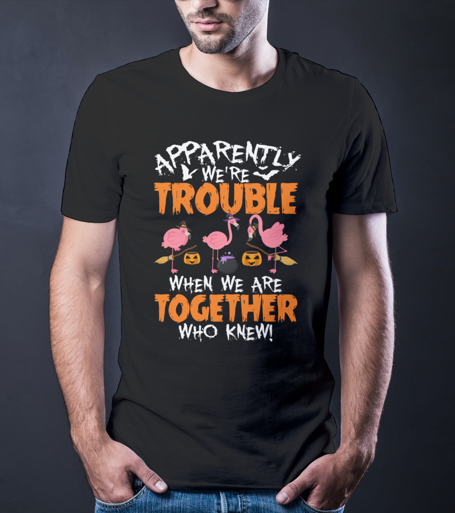 Apparently We're Trouble When We Are Together Who Knew Halloween Flamingo Witches With Bats And Pumpkins T-Shirt