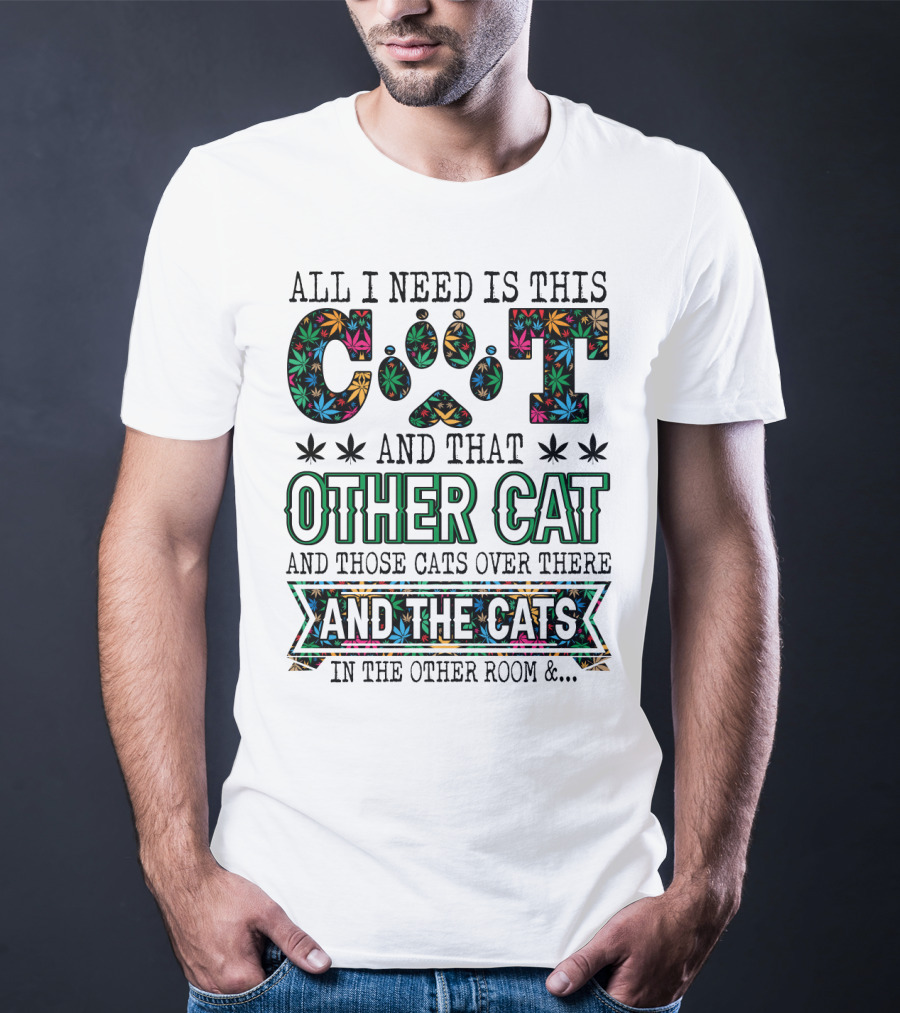 All I Need Is This Cat And That Other Cat And Those Cats Over There And The Cats In The Other Room T-Shirt