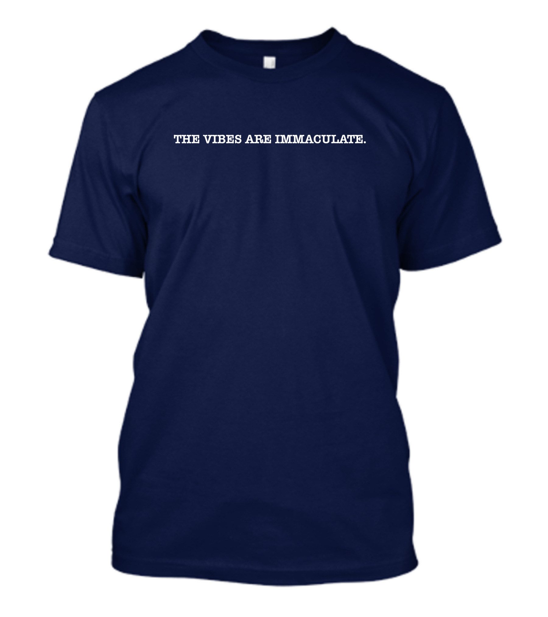 Jalen Brunson The Vibes Are Immaculate T-Shirt