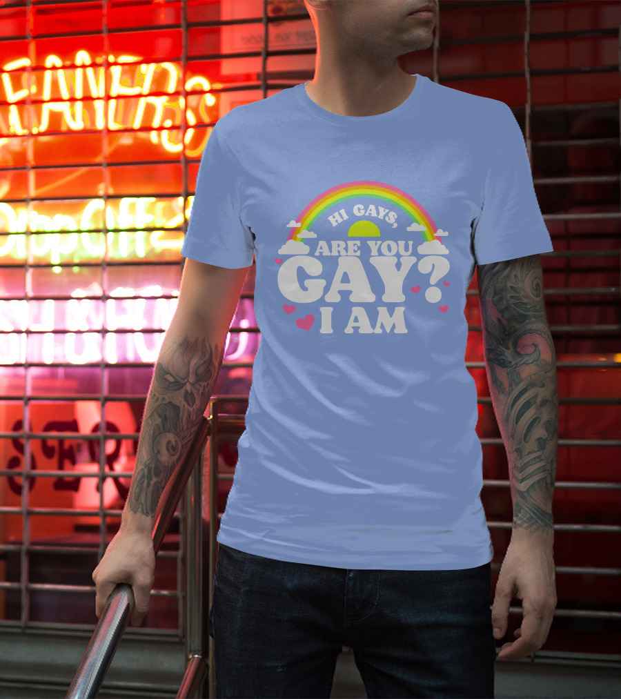 Chrissy Chlapecka Merch Hi Gays Are You Gay I Am With Rainbow And Hearts T-Shirt