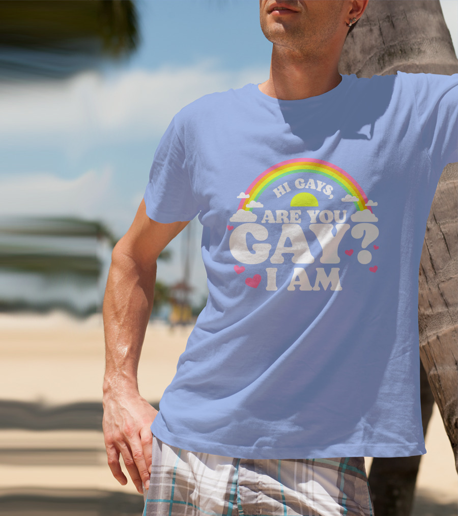 Chrissy Chlapecka Merch Hi Gays Are You Gay I Am With Rainbow And Hearts T-Shirt