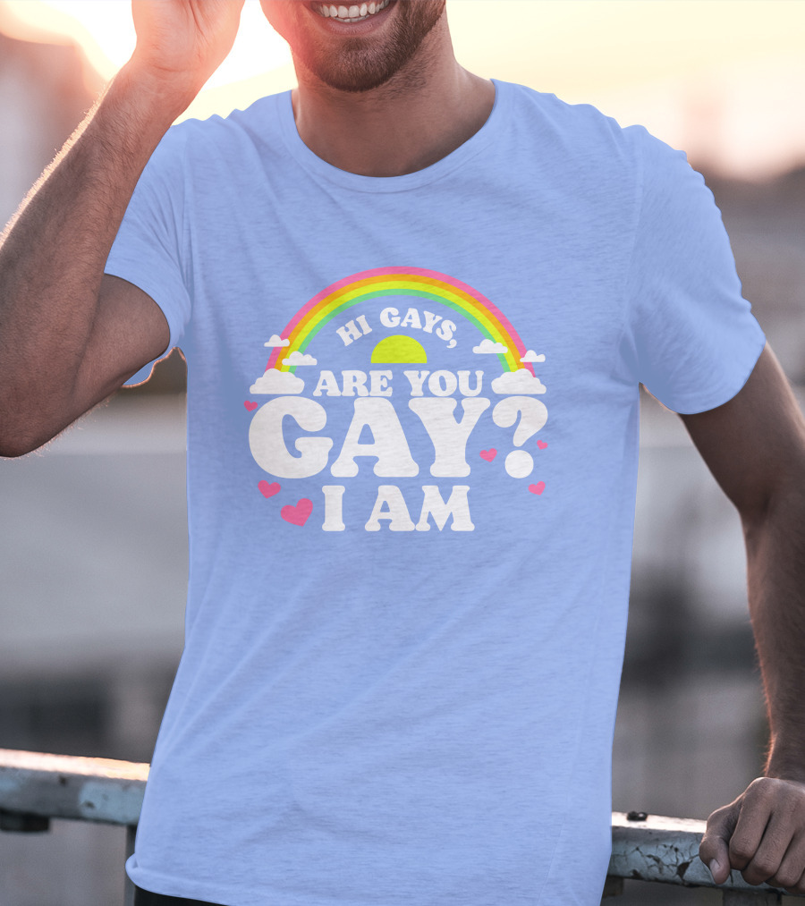 Chrissy Chlapecka Merch Hi Gays Are You Gay I Am With Rainbow And Hearts T-Shirt