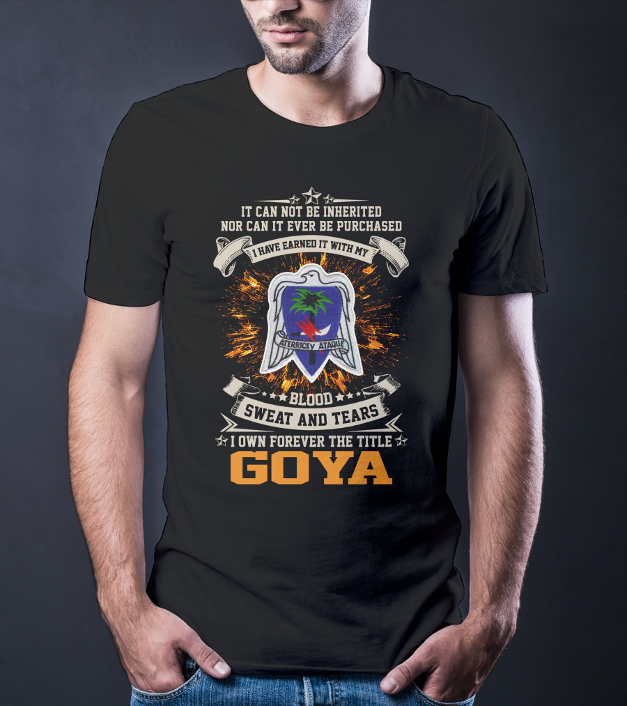 Blood Sweat And Tears Goya 551St Parachute Infantry Battalion Aterrice Y Ataque T-Shirt