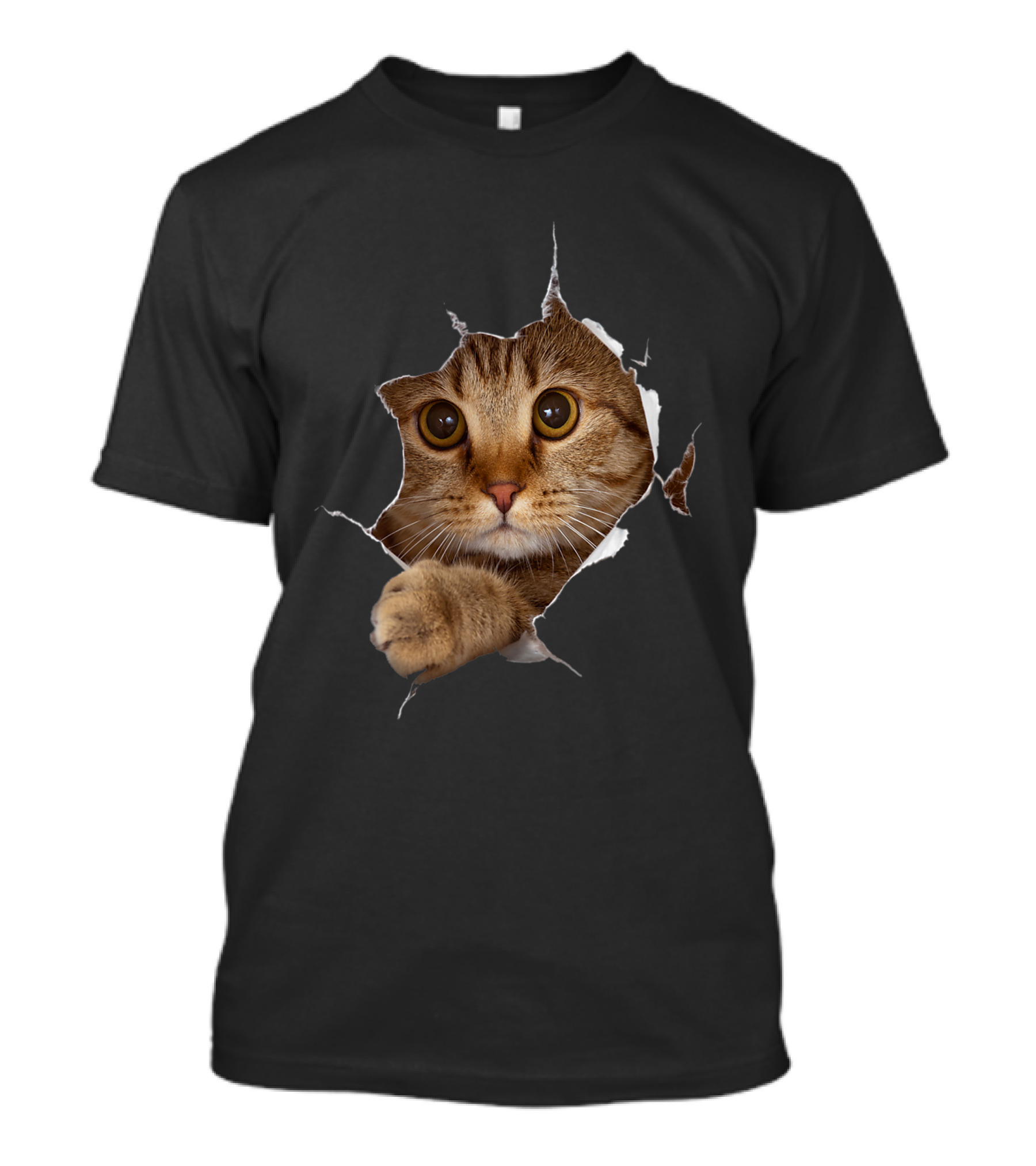 Sweet Kitten Torn Cloth Funny Cat Lover Cat Owner Cat Lady Peeking Cat Through Rip T-Shirt