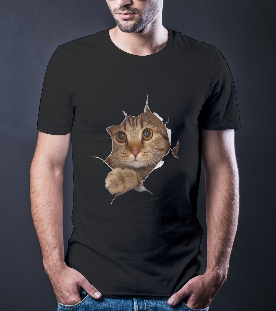 Sweet Kitten Torn Cloth Funny Cat Lover Cat Owner Cat Lady Peeking Cat Through Rip T-Shirt