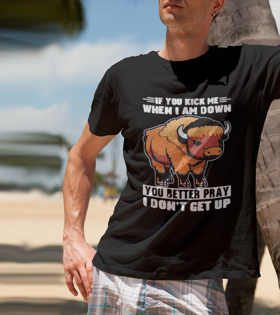 Buffalo If You Kick Me When I Am Down You Better Pray I Don’t Get Up T-Shirt