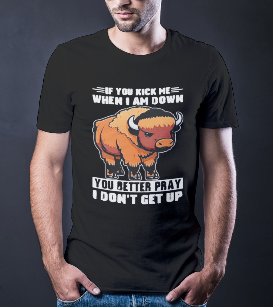 Buffalo If You Kick Me When I Am Down You Better Pray I Don’t Get Up T-Shirt