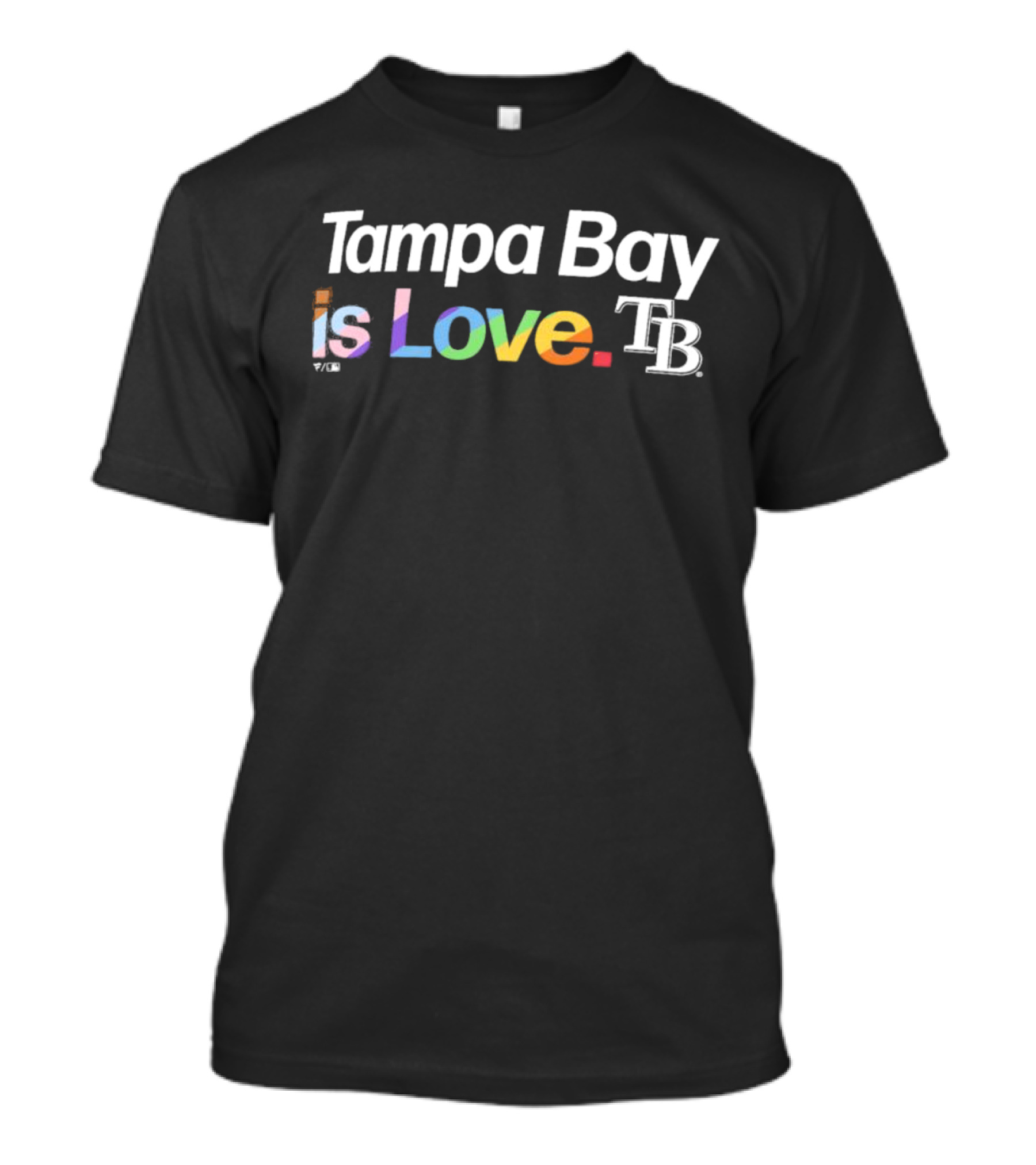 Tampa Bay Is Love TB City Pride T-Shirt