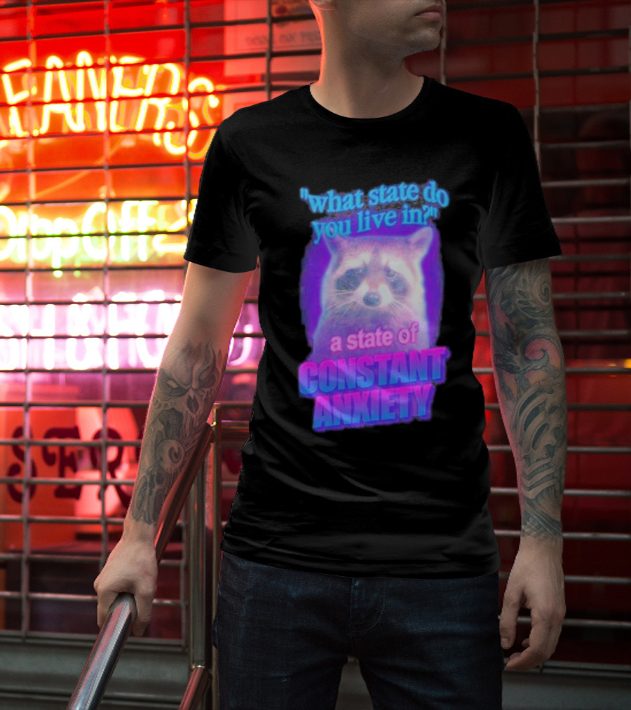 Raccoon In A State Of Constant Anxiety Meme T-Shirt