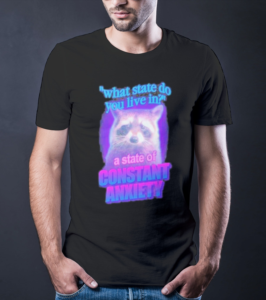 Raccoon In A State Of Constant Anxiety Meme T-Shirt