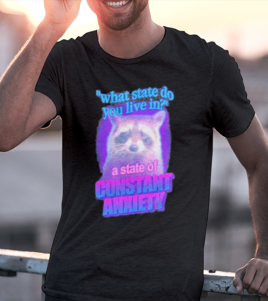 Raccoon In A State Of Constant Anxiety Meme T-Shirt