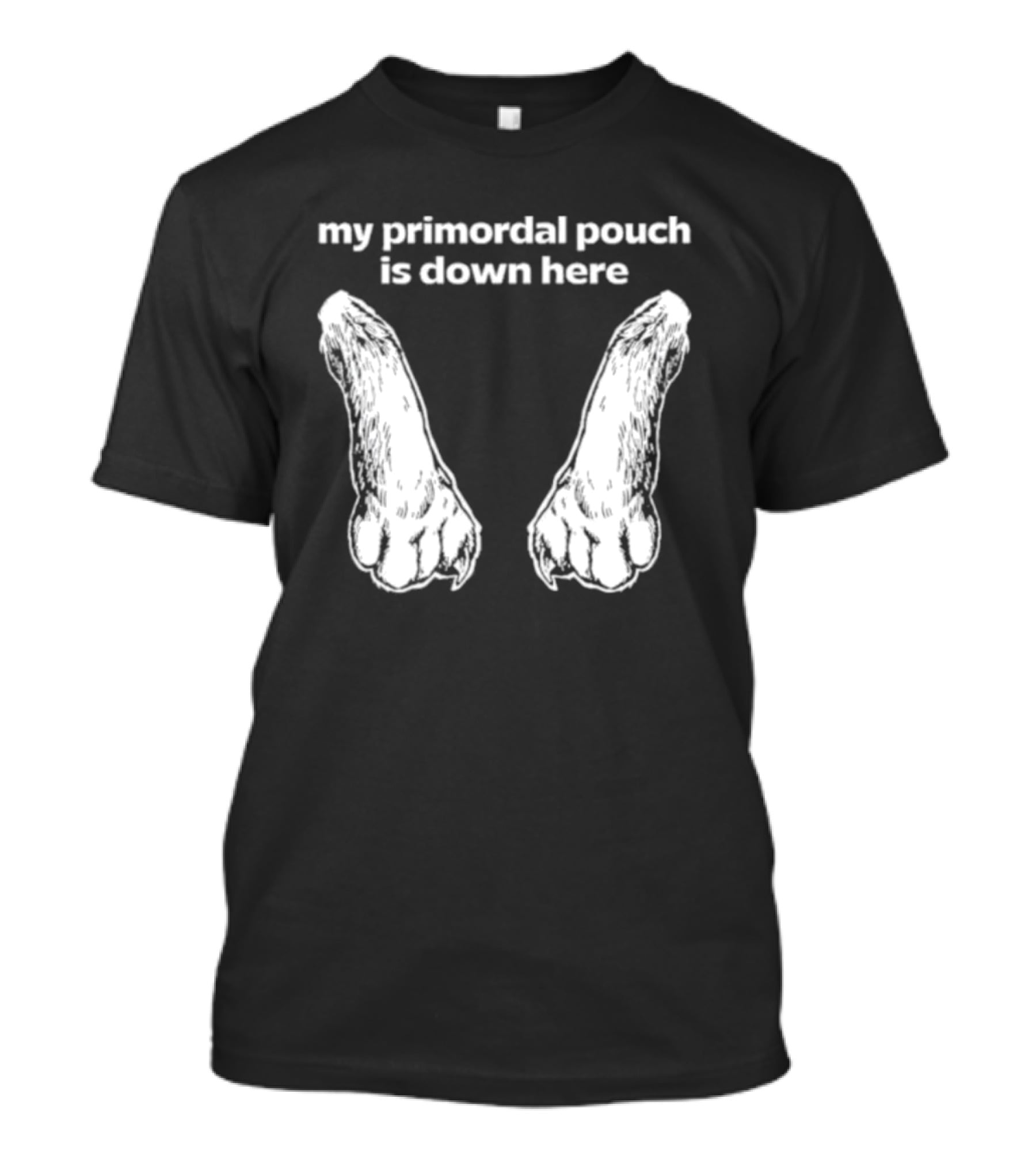 My Primordial Pouch Is Down Here Funny Cat Lover Graphic By Mango Island T-Shirt