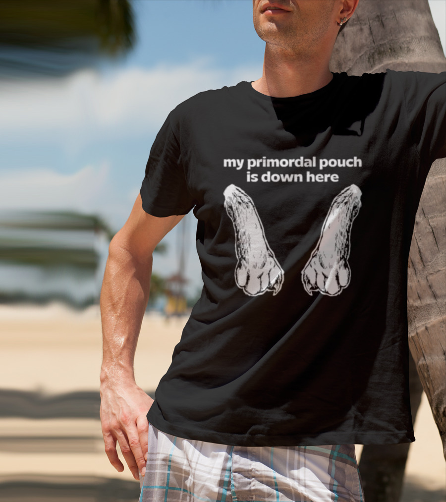 My Primordial Pouch Is Down Here Funny Cat Lover Graphic By Mango Island T-Shirt