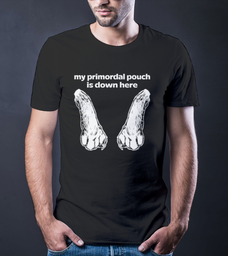 My Primordial Pouch Is Down Here Funny Cat Lover Graphic By Mango Island T-Shirt