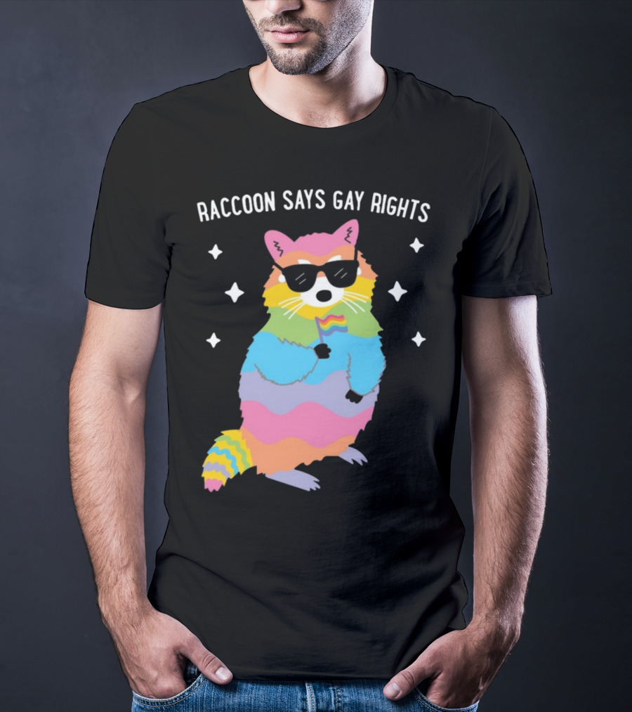 Raccoon Says Gay Rights Pride Rainbow Sunglasses Flag T-Shirt