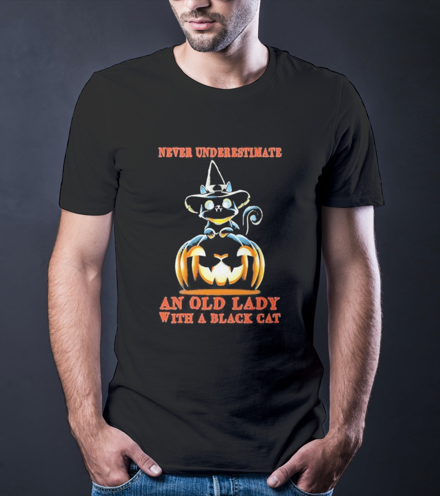 Never Underestimate An Old Lady With A Black Cat Halloween Pumpkin Witch Hat T-Shirt