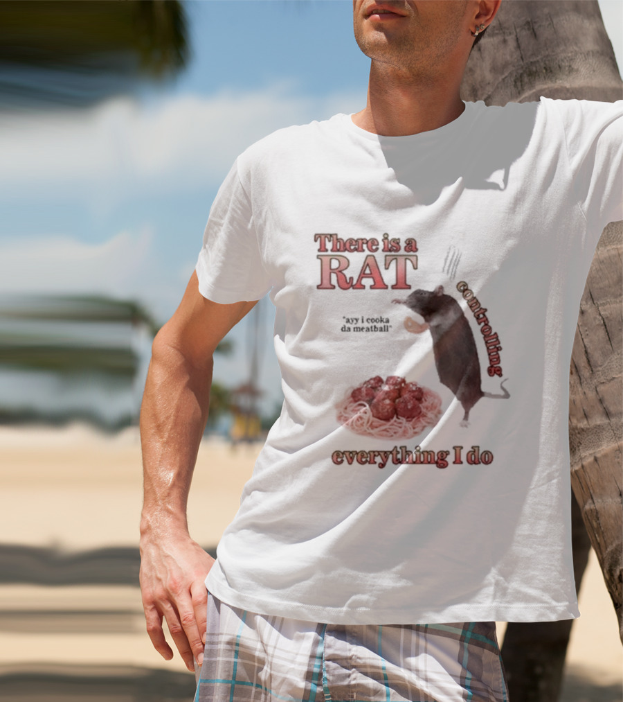 There Is A Rat Controlling Everything I Do Ayy I Cooka Da Meatball T-Shirt