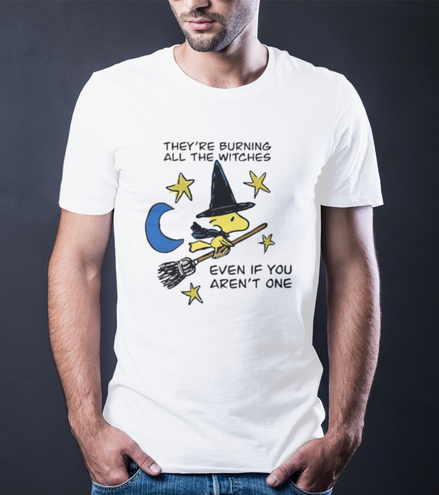 They’re Burning All The Witches Even If You Aren’t One Woodstock Wizard Stars Moon Broomstick T-Shirt