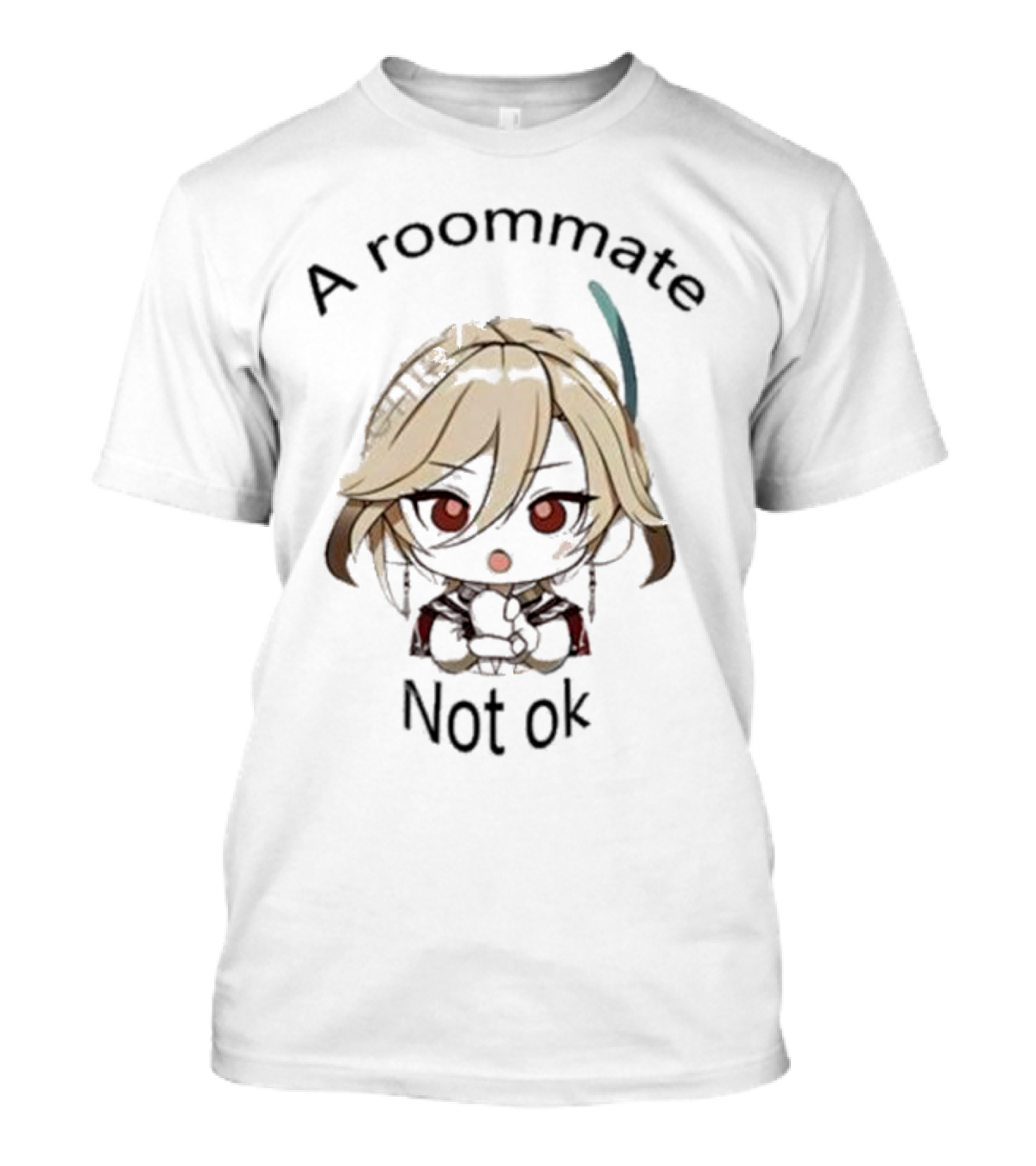 Ellie Haikavehel A Roommate Not Ok T-Shirt