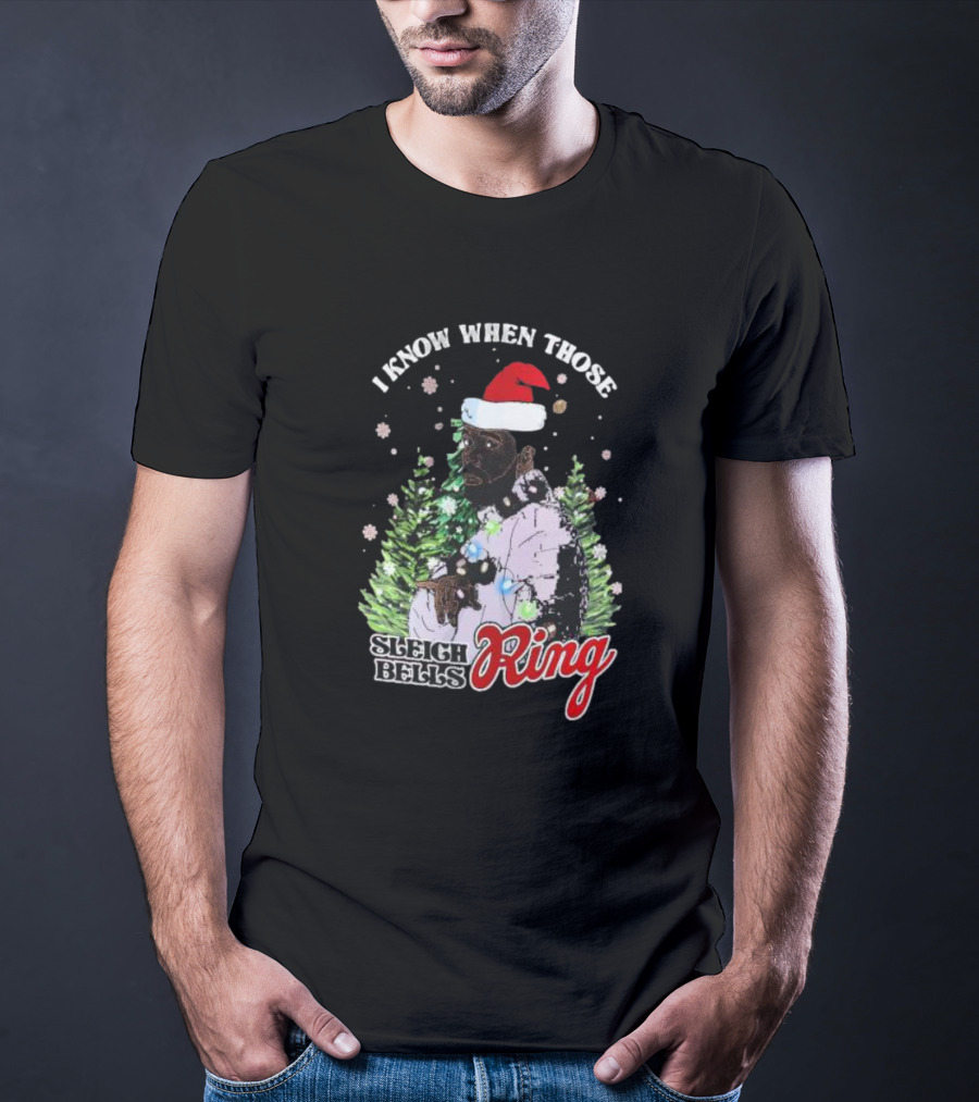 I Know When Those Sleigh Bells Ring Happy Holiday Merry Christmas Drake T-Shirt