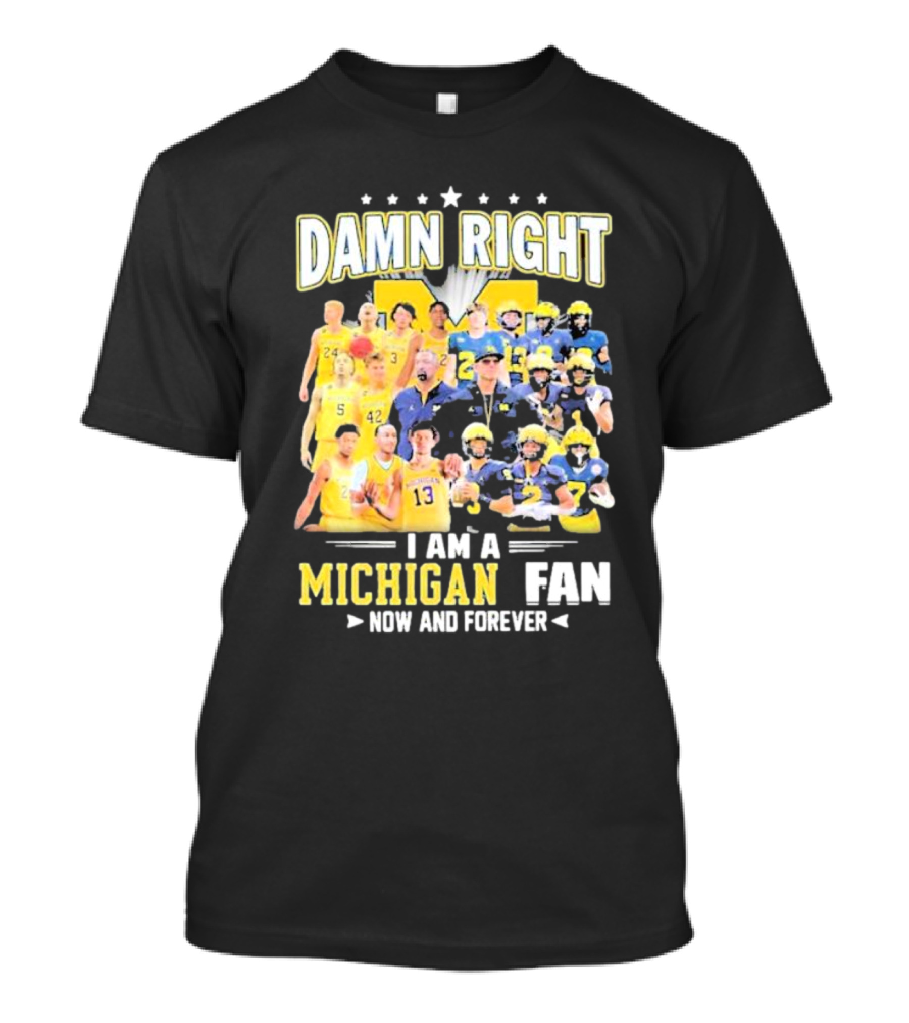 Damn Right I Am A Michigan Fan Now And Forever Football And Basketball Team Images T-Shirt