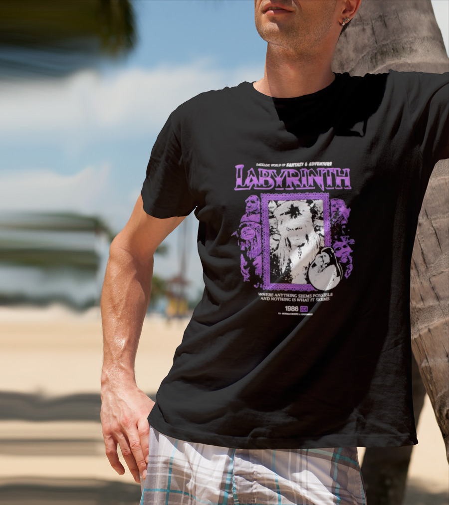 Dazzling World Of Fantasy And Adventure Labyrinth 1986 Where Anything Seems Possible And Nothing Is What It Seems T-Shirt