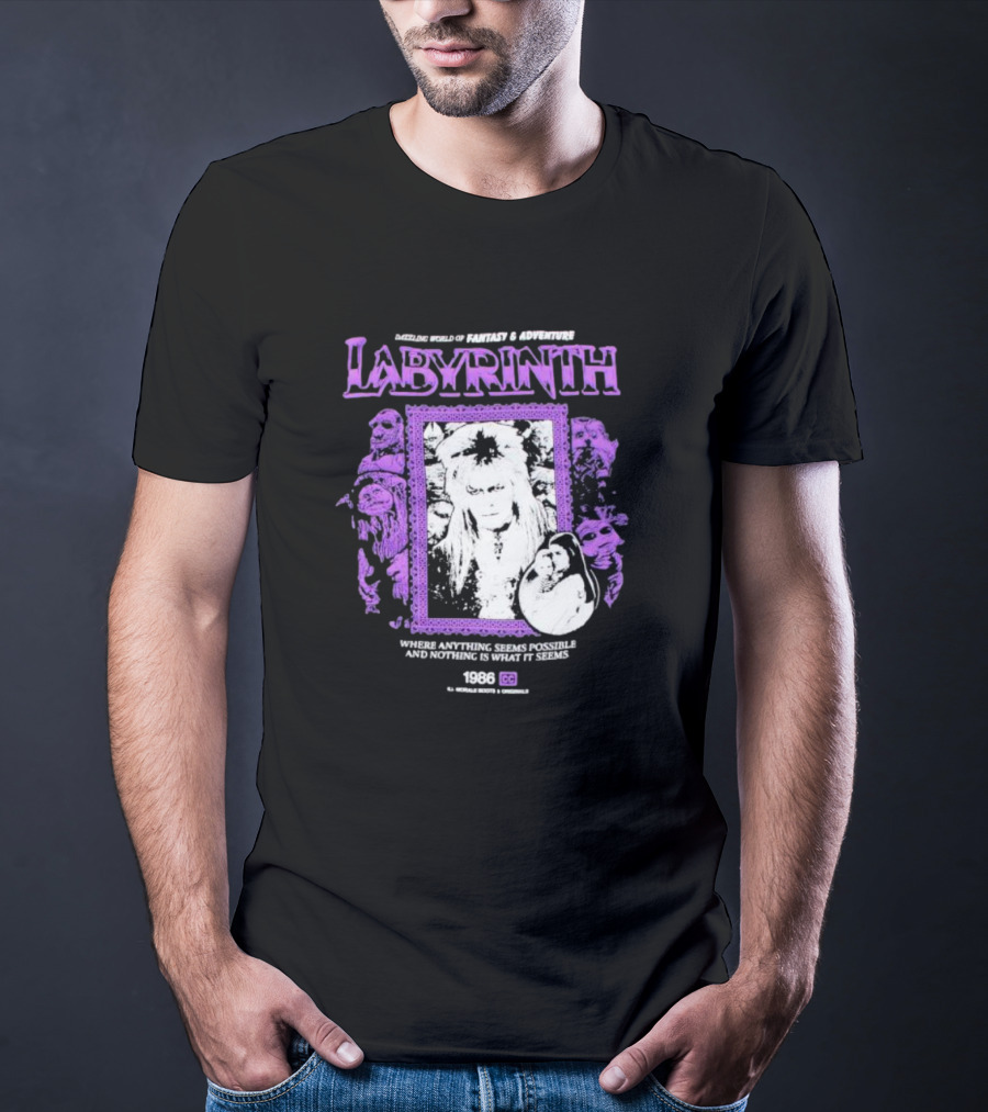 Dazzling World Of Fantasy And Adventure Labyrinth 1986 Where Anything Seems Possible And Nothing Is What It Seems T-Shirt
