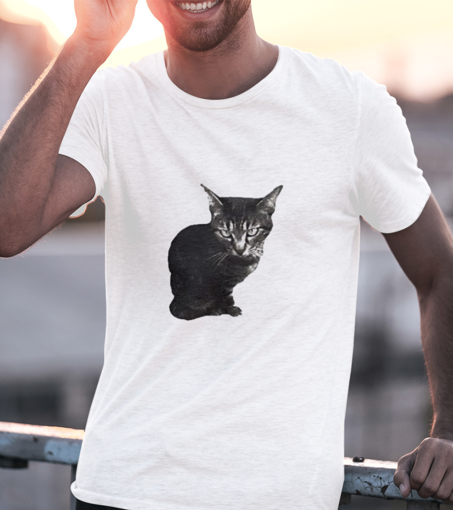 Smileymaya15 How Long Have I Been Here Kitten Cat Black Gray Tabby T-Shirt