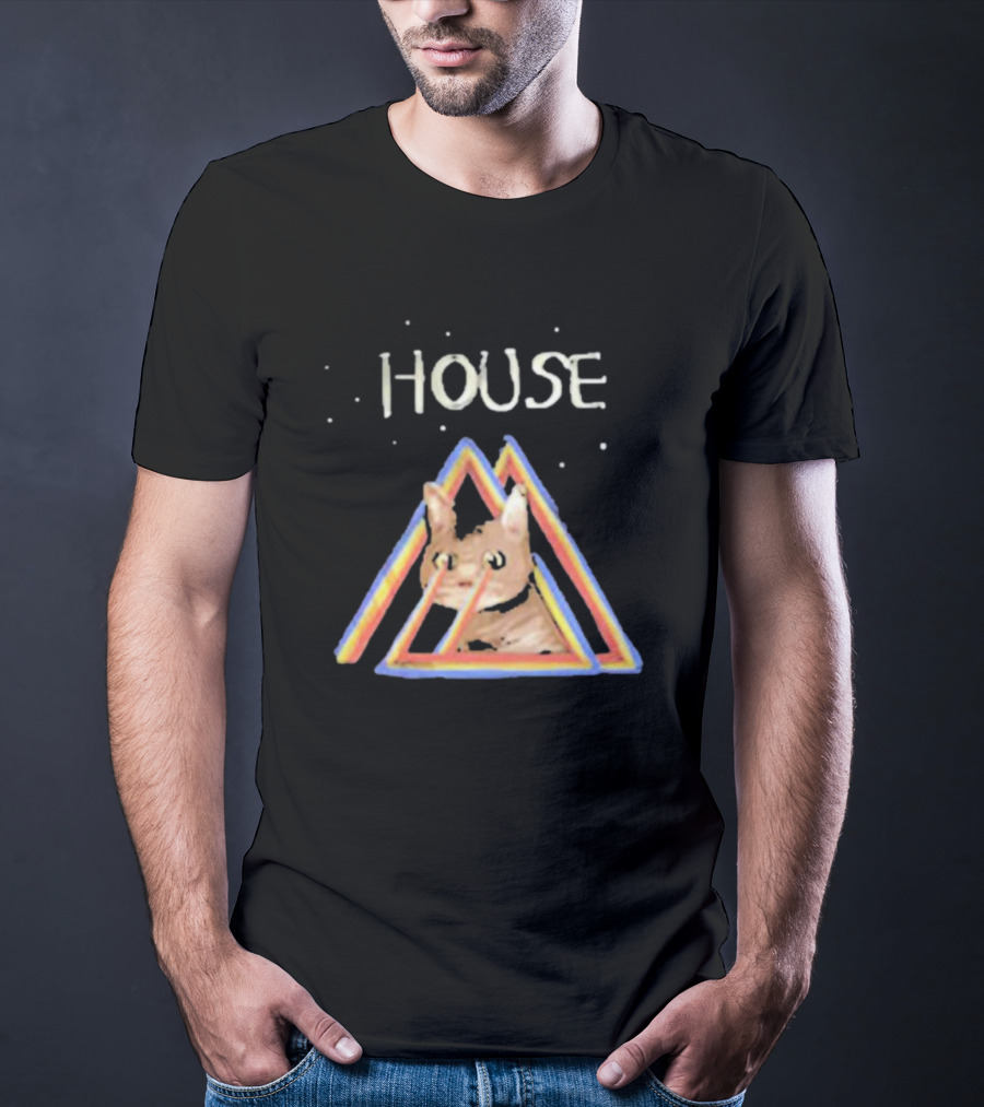 House Rainbow Triangle Cat T-Shirt