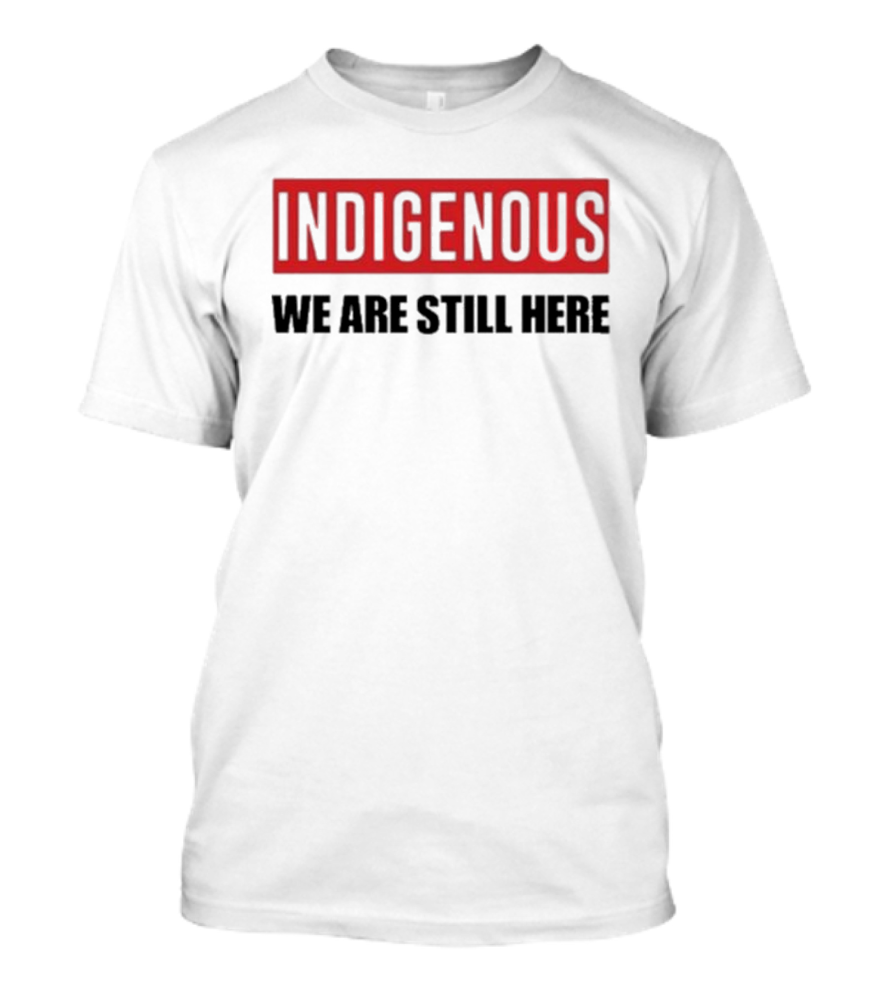 Indigenous We Are Still Here Stoic Native T-Shirt