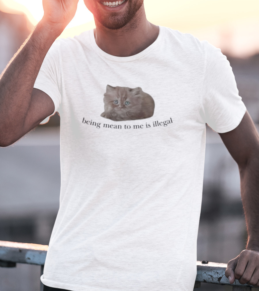 Being Mean To Me Is Illegal Cute Orange Cat T-Shirt