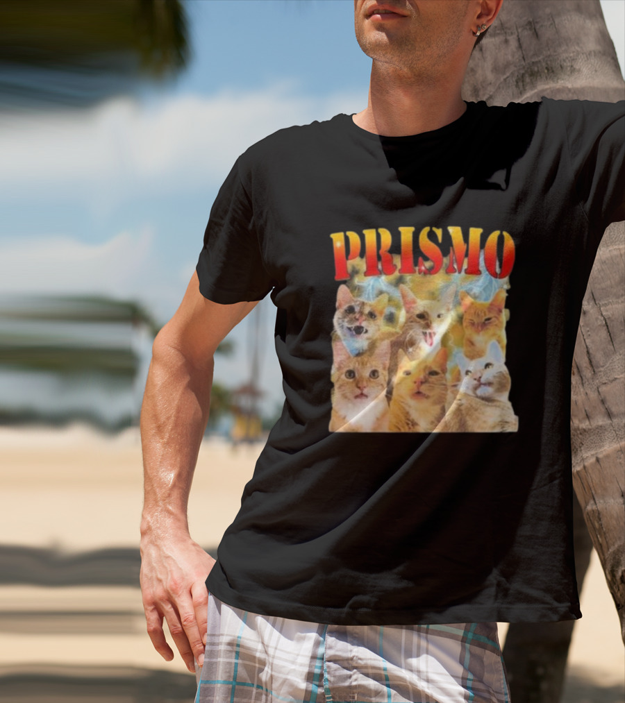 Prismo Cats Colorful Expressions Feline Montage T-Shirt