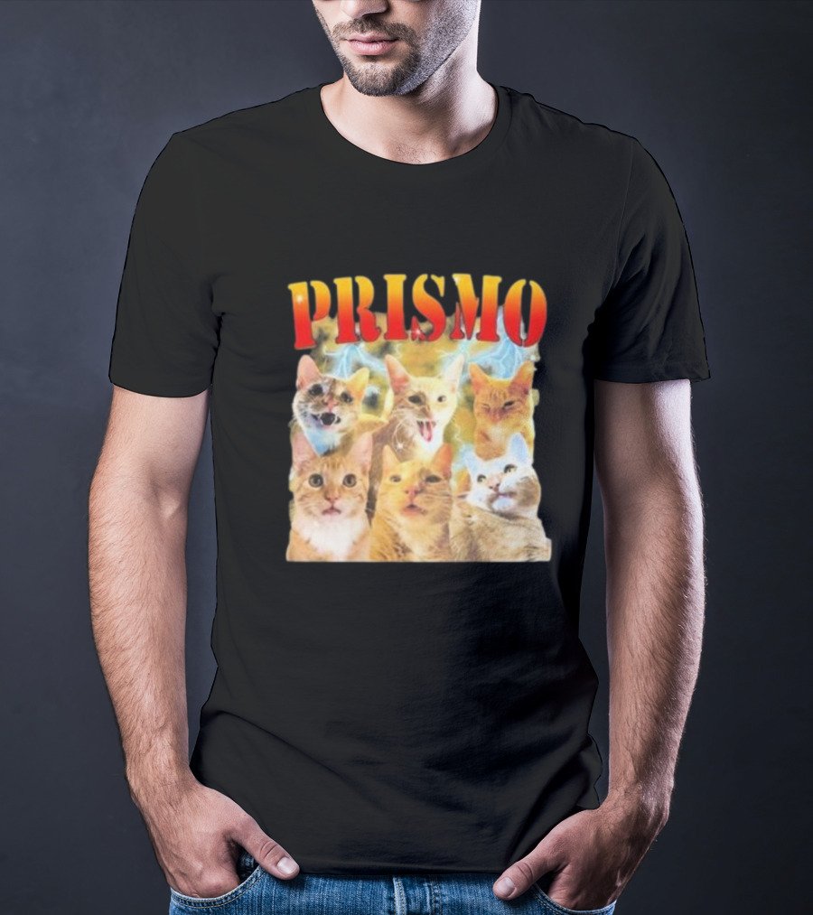Prismo Cats Colorful Expressions Feline Montage T-Shirt