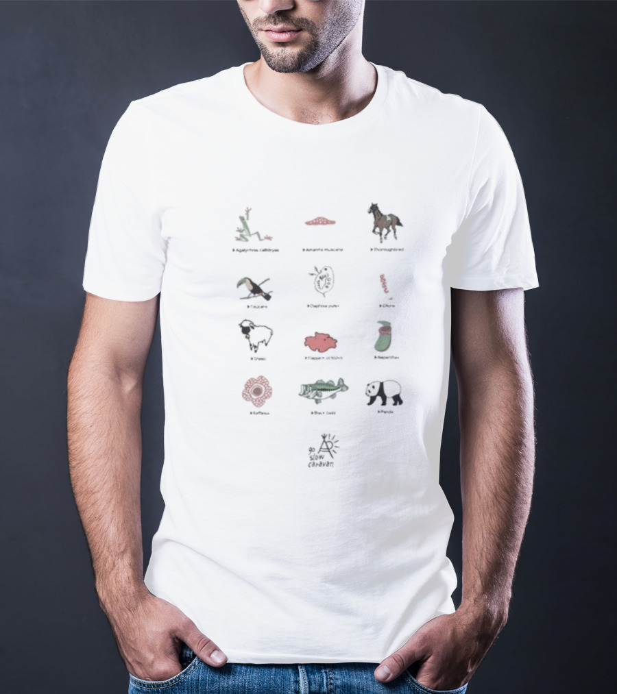 Usa C Gsc Various Motif Back Print Pkt Loose Fitting Garden Snake Manhattan Horse Puffin Dragonfly Great Barrier Reef Poppy Sheep Strawberry Fire Flower Caiman Panda Arles Cezanne T-Shirt