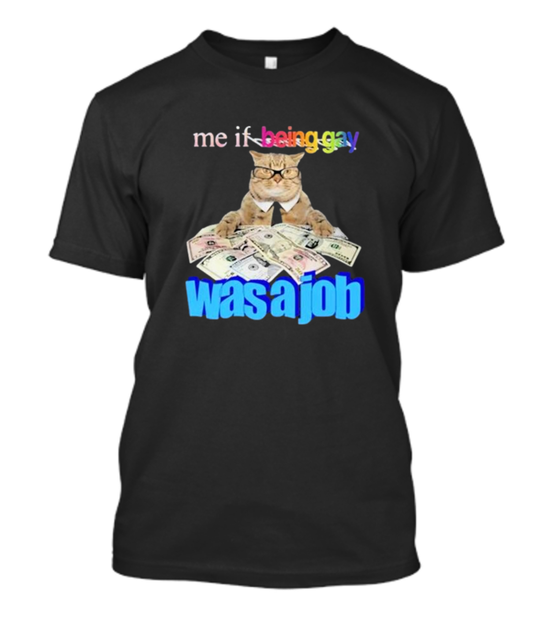 Cat With Money And Rainbow Text Me If Being Gay Was A Job T-Shirt