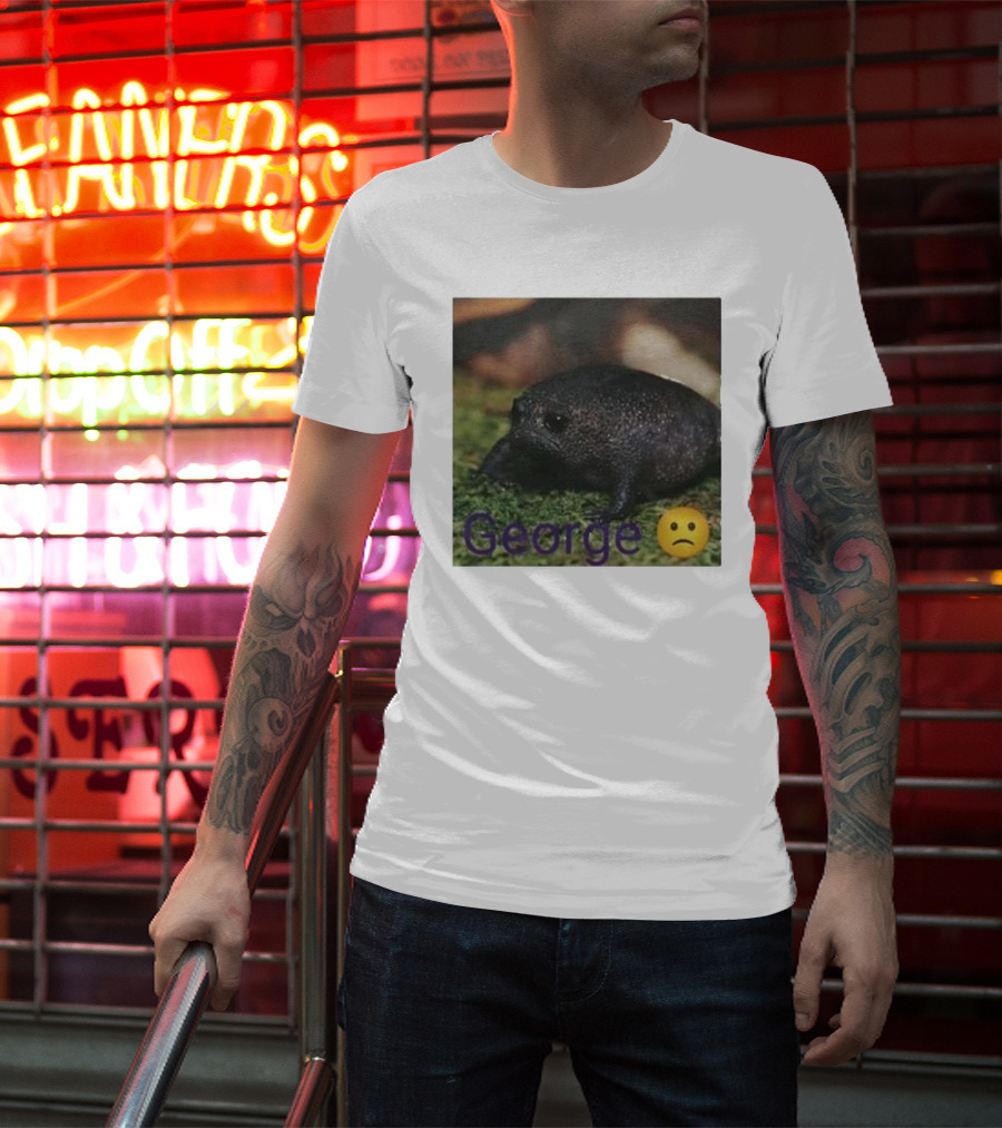 George Sad Frog Meme Inspired Image T-Shirt