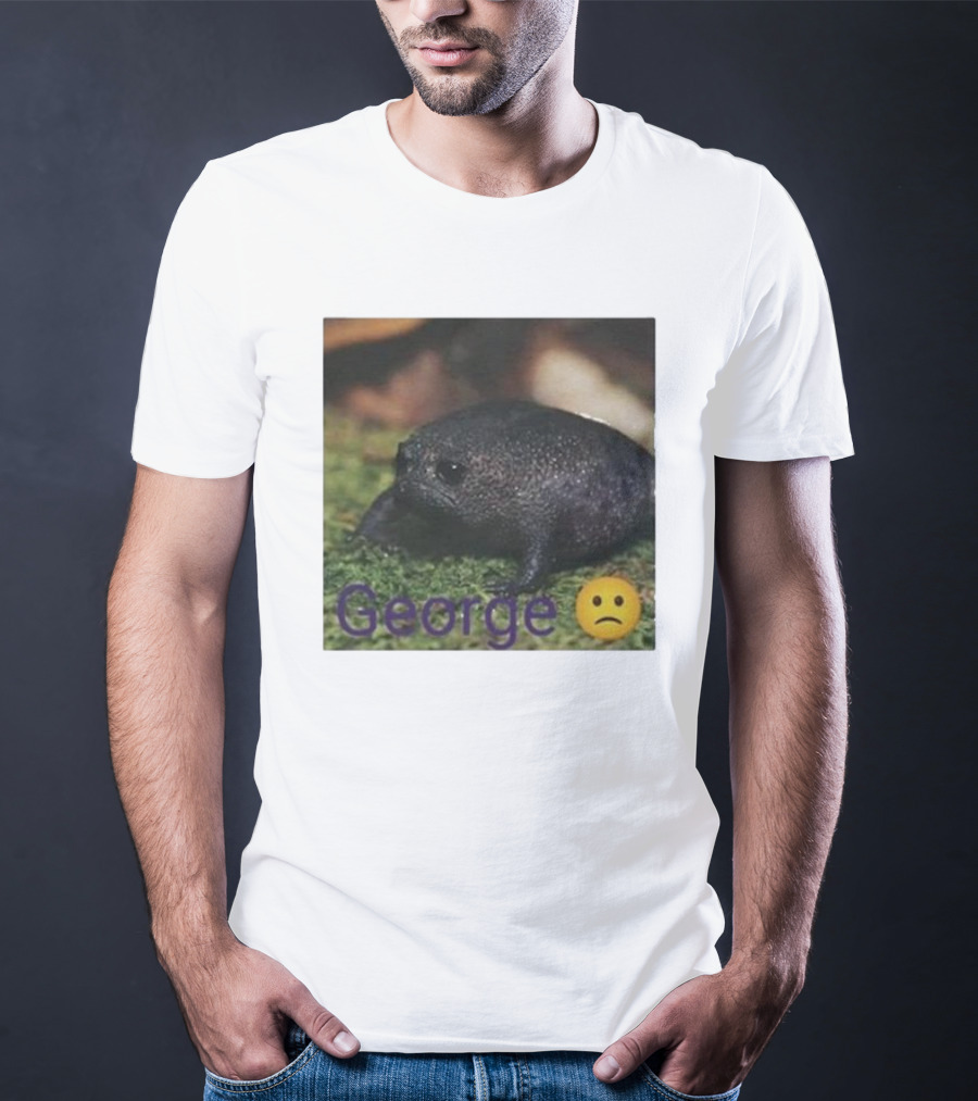 George Sad Frog Meme Inspired Image T-Shirt