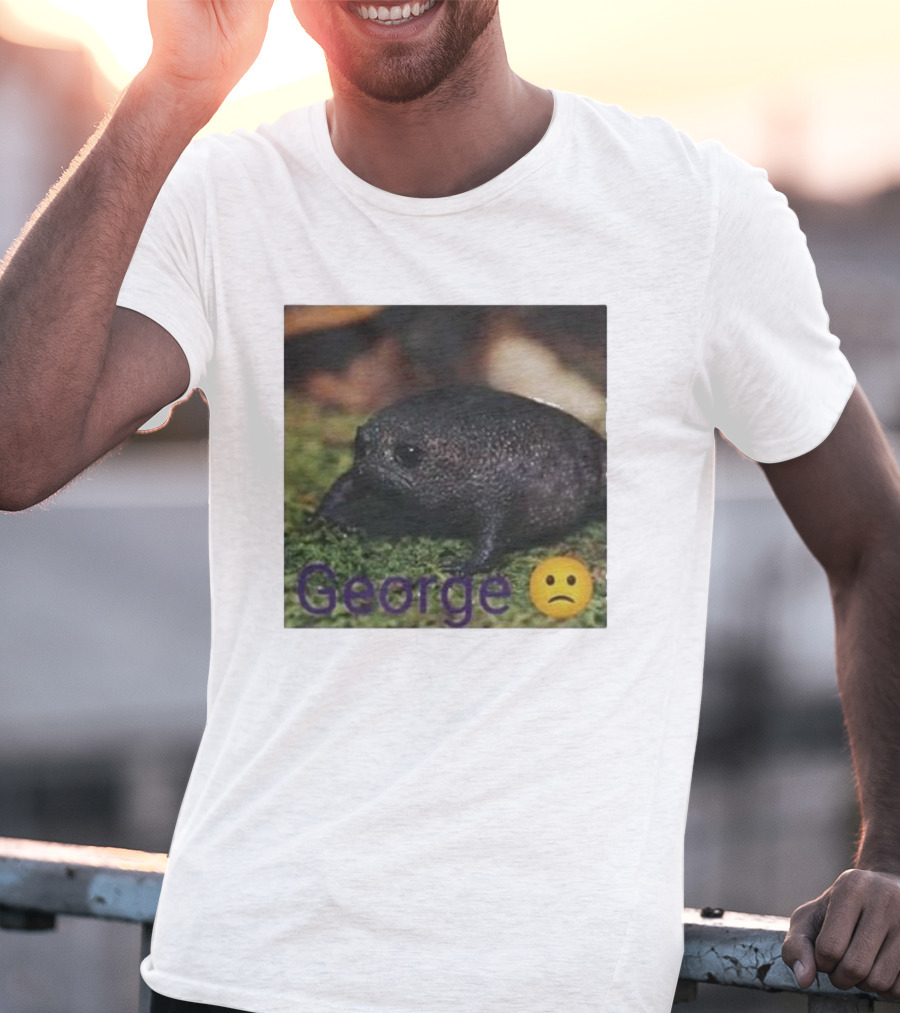 George Sad Frog Meme Inspired Image T-Shirt