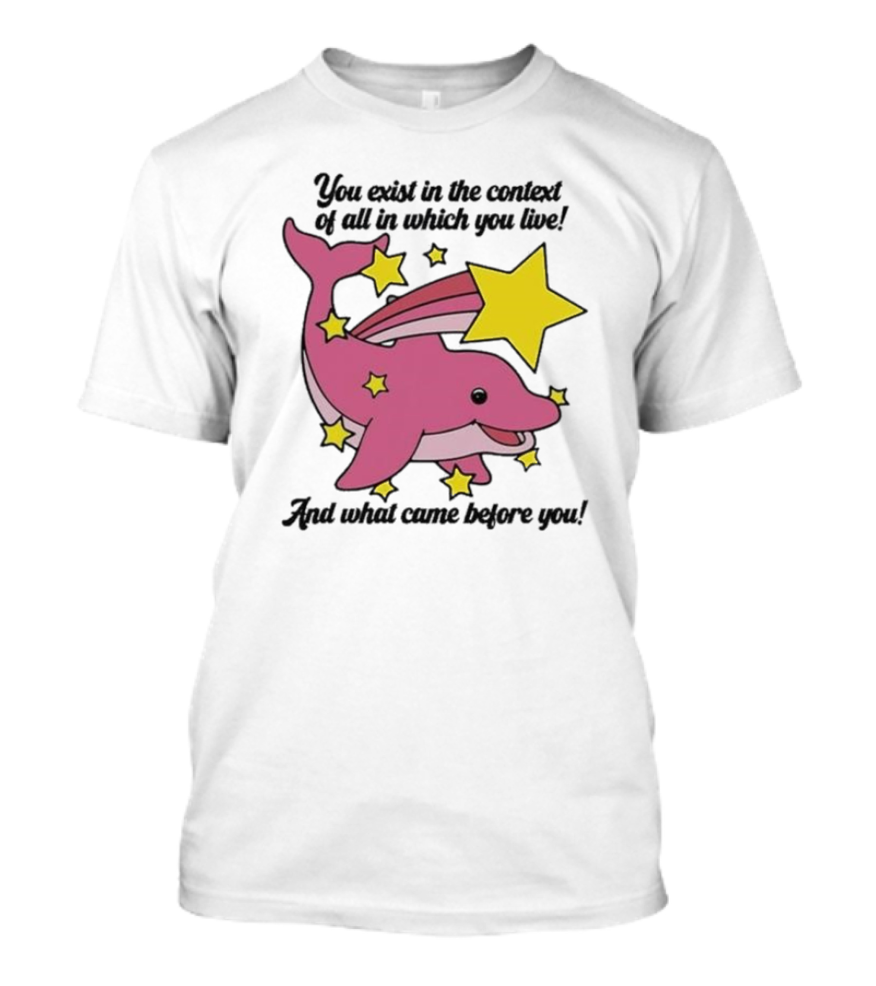 You Exist In The Context Of All In Which You Live And What Came Before You Pink Dolphin With Stars T-Shirt
